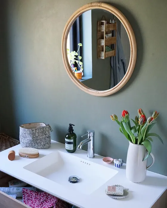 Jotun Green Leaf bathroom color review