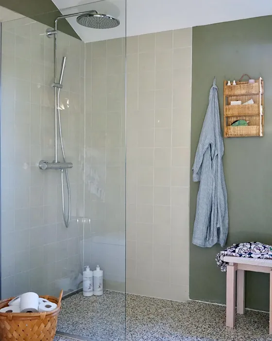 Jotun Green Leaf bathroom paint