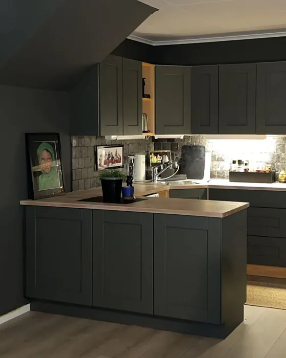 Jotun 8422 kitchen cabinets color