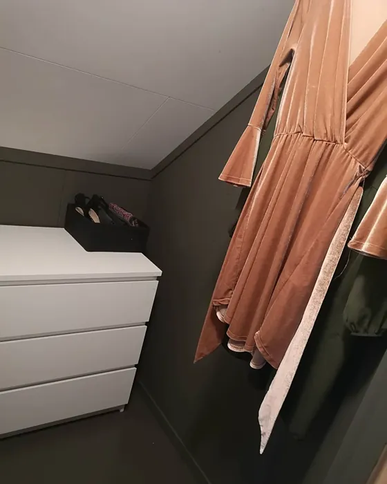 Jotun Green Marble wardrobe