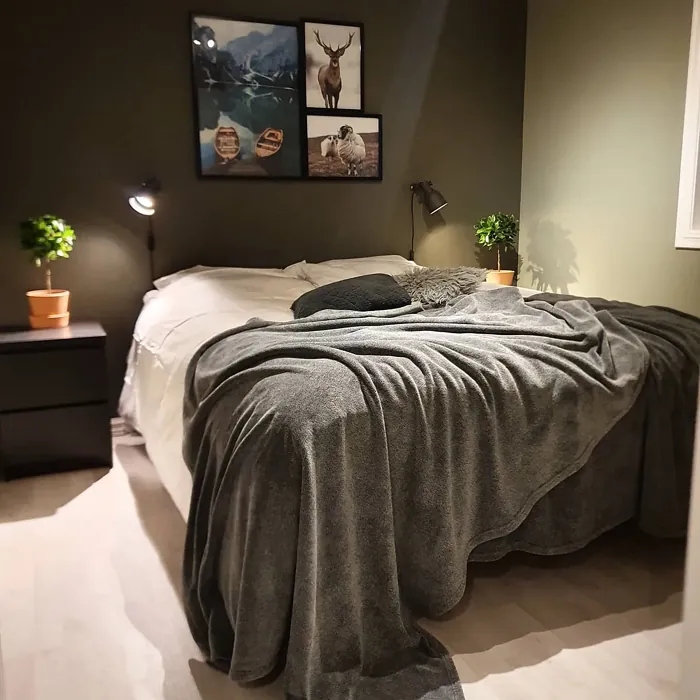 Jotun Green Marble bedroom accent wall