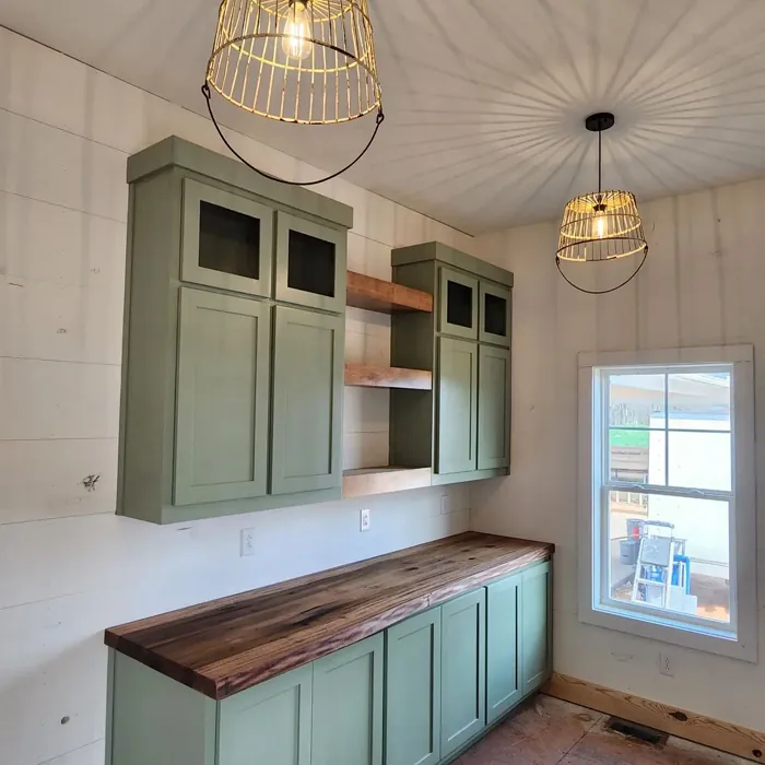 Sw Green Onyx Painted Cabinets