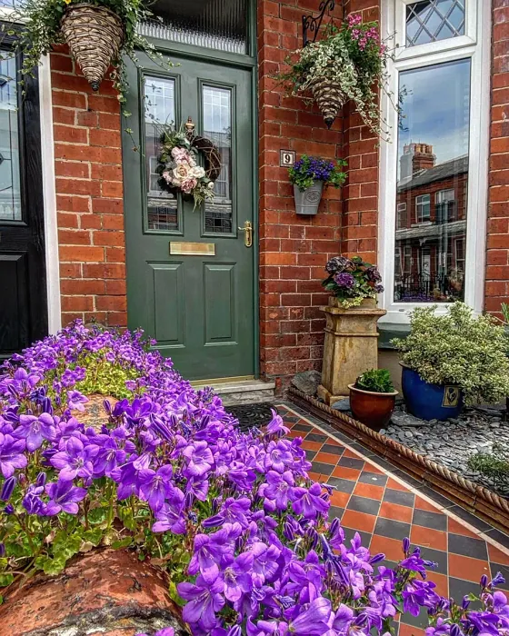 Green Smoke boho front door paint review