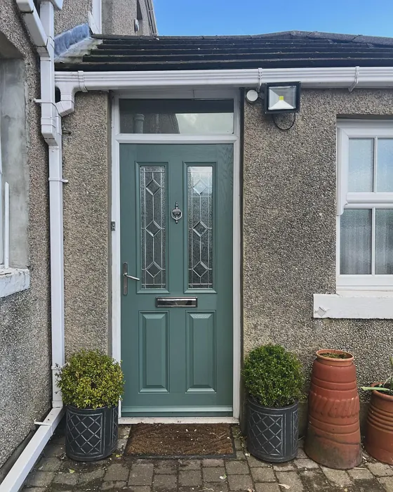 Farrow and Ball Green Smoke stylish front door review