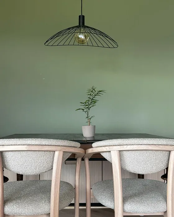 Jotun Green Tea dining room color