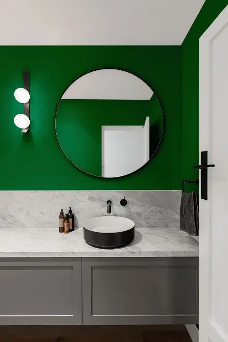 Sherwin Williams Greenbelt minimalist bathroom