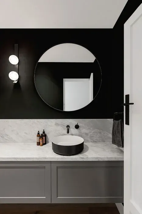 Sherwin Williams Greenblack minimalist bathroom