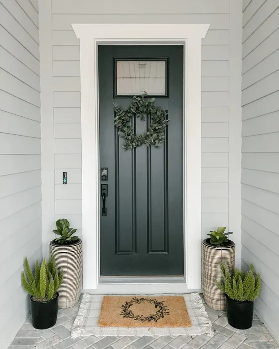 SW Greenblack front door color