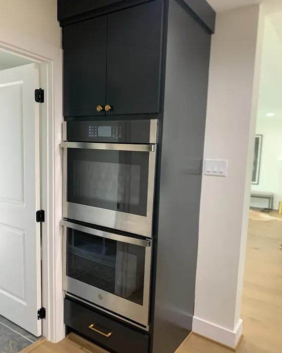 SW 6994 kitchen cabinets paint review