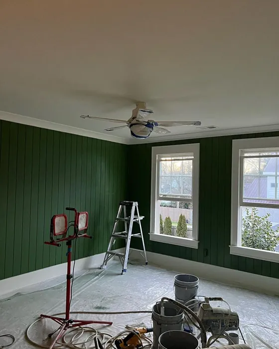 Sherwin Williams Greenfield Review