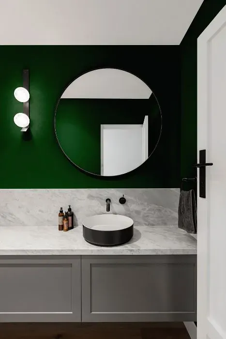 Sherwin Williams Greenhouse minimalist bathroom
