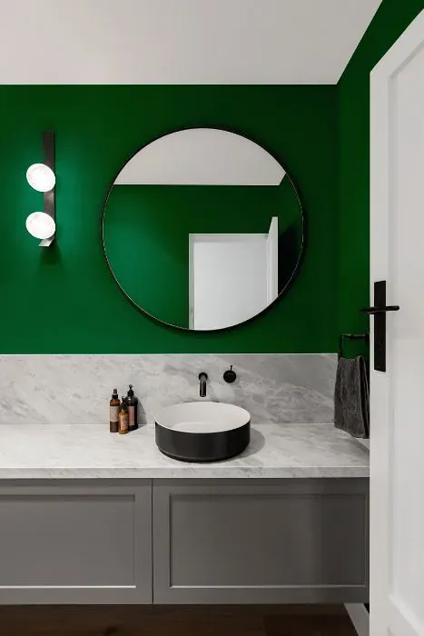 Sherwin Williams Greens minimalist bathroom
