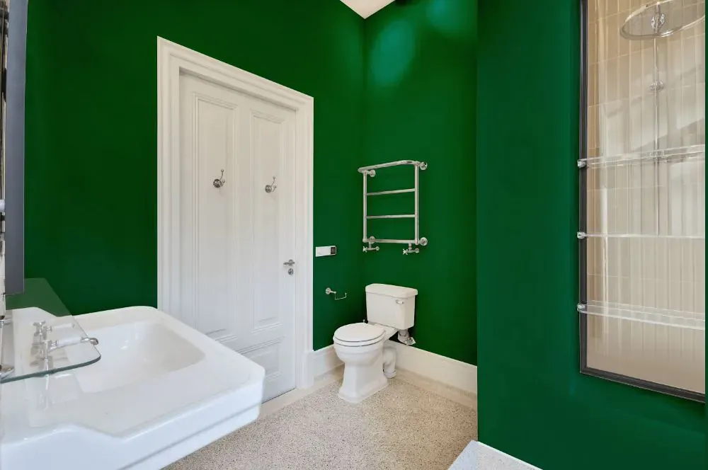 Sherwin Williams Greens bathroom