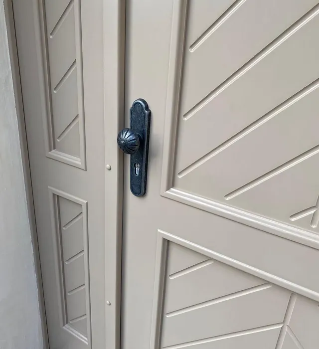 RAL 1019 front door color review