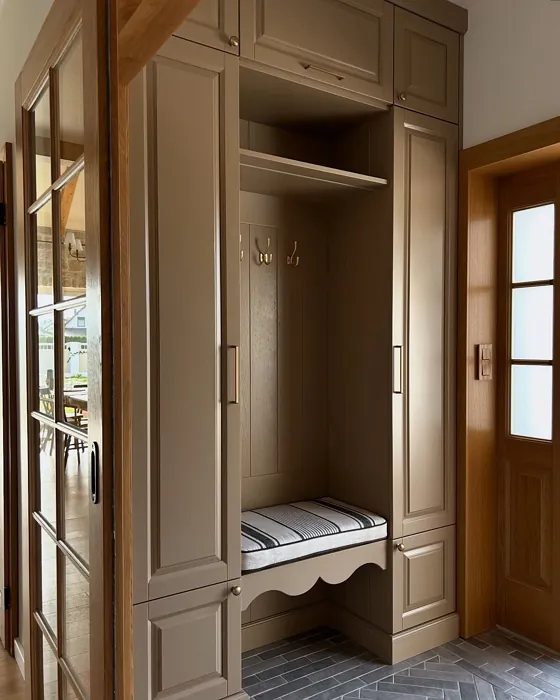 RAL 1019 painted cabinets color