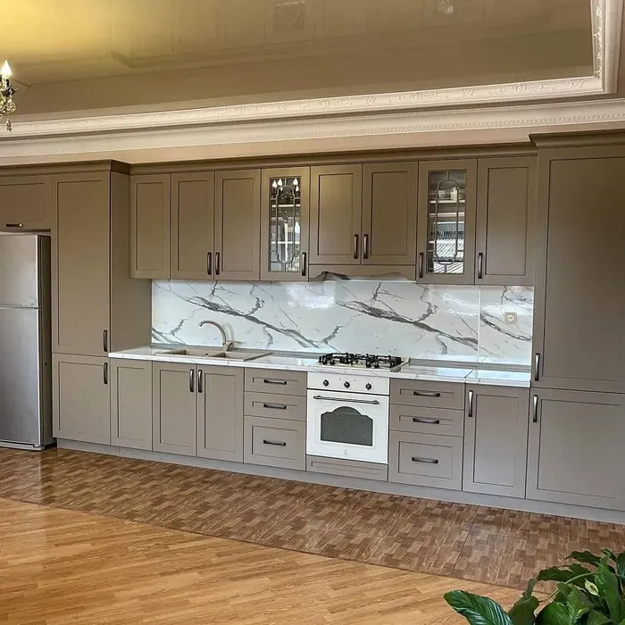 RAL 1019 kitchen cabinets color