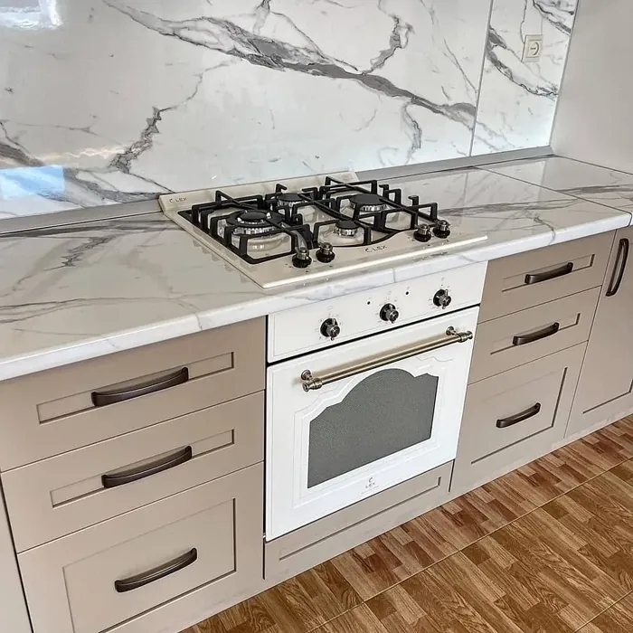 RAL 1019 kitchen cabinets color review