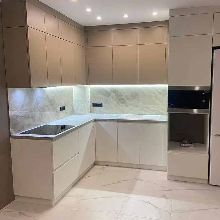 RAL 1019 kitchen cabinets paint review