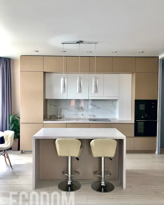 RAL 1019 kitchen cabinets picture