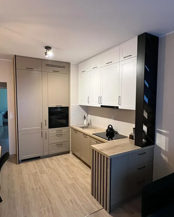 RAL Classic RAL 1019 kitchen cabinets inspiration