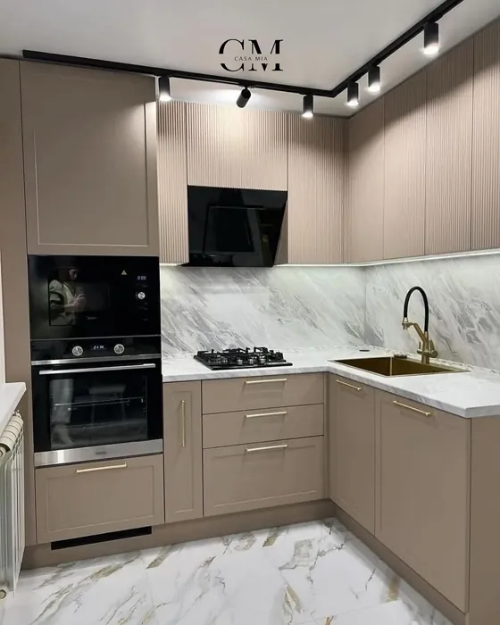 RAL 1019 kitchen cabinets paint