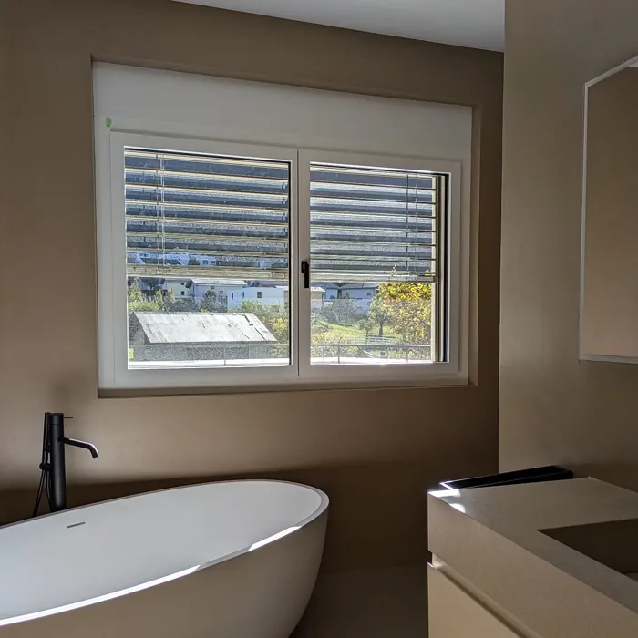 RAL 1019 bathroom color