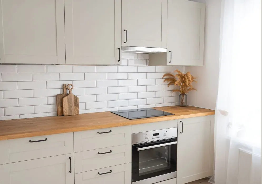 Sherwin Williams Grey Heron kitchen cabinets