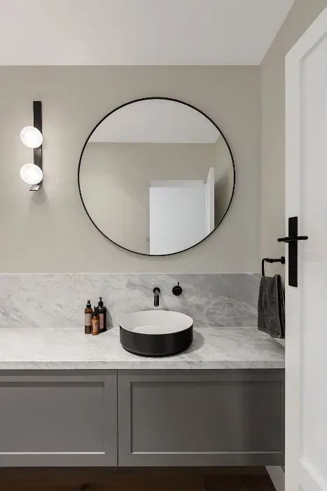 Sherwin Williams Grey Heron minimalist bathroom