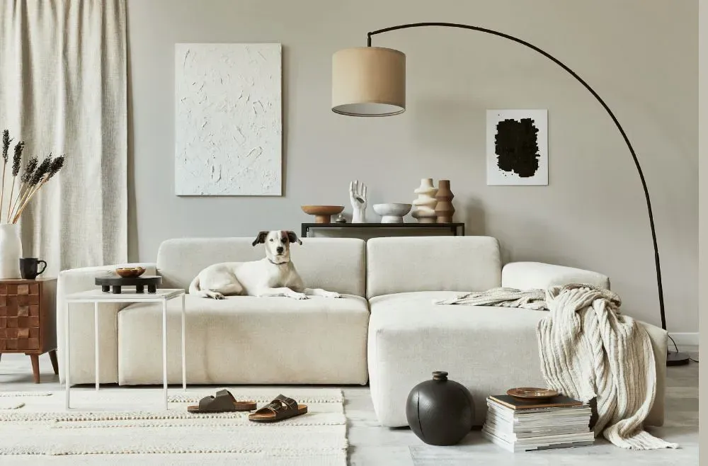 Sherwin Williams Grey Heron cozy living room