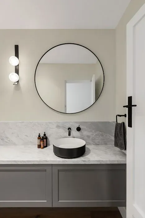 Sherwin Williams Grey Mist minimalist bathroom