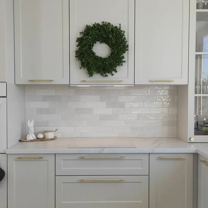 RAL 9002 kitchen cabinets paint