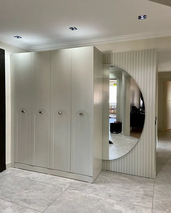 RAL 9002 painted cabinets paint