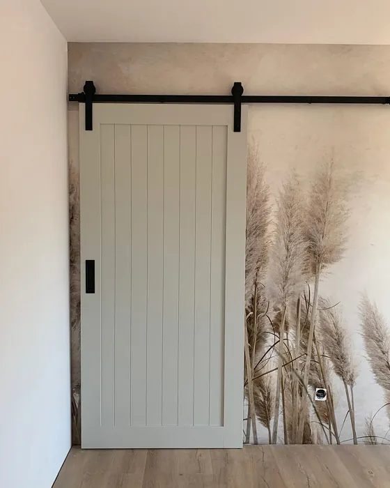 RAL 9002 door color review