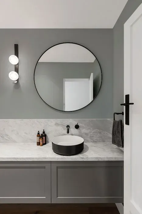 Sherwin Williams Gris minimalist bathroom