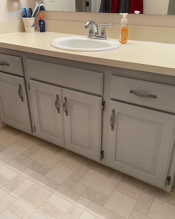 Sherwin Williams Gris bathroom vanity color