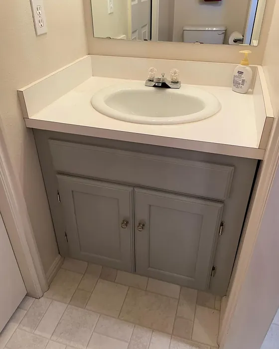 SW Gris bathroom vanity color