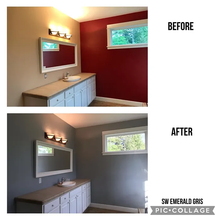 SW Gris bathroom makeover