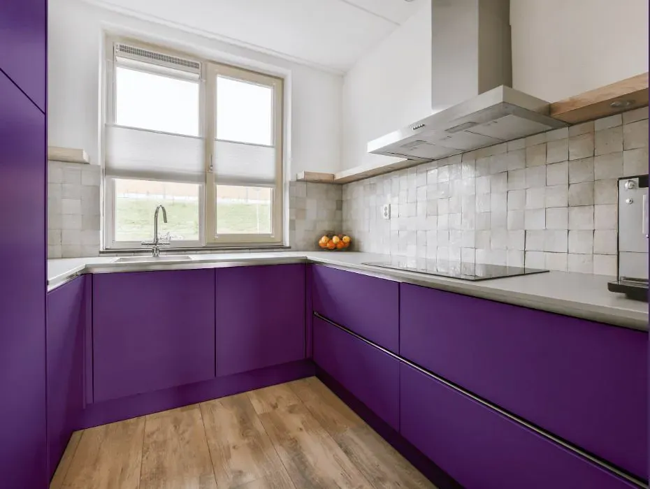 Sherwin Williams Gutsy Grape small kitchen cabinets