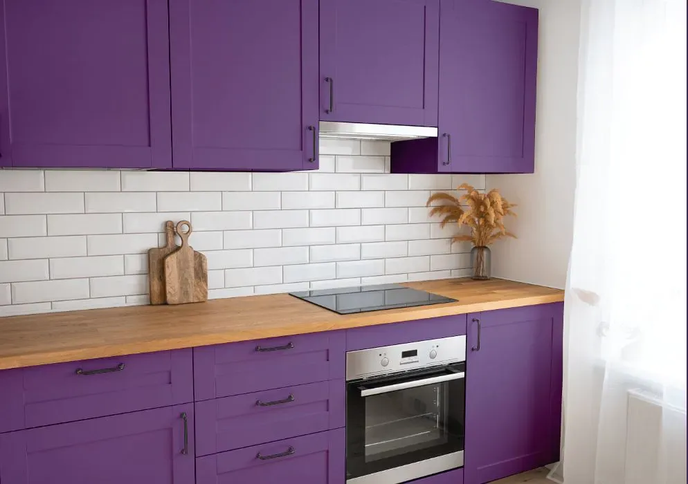 Sherwin Williams Gutsy Grape kitchen cabinets