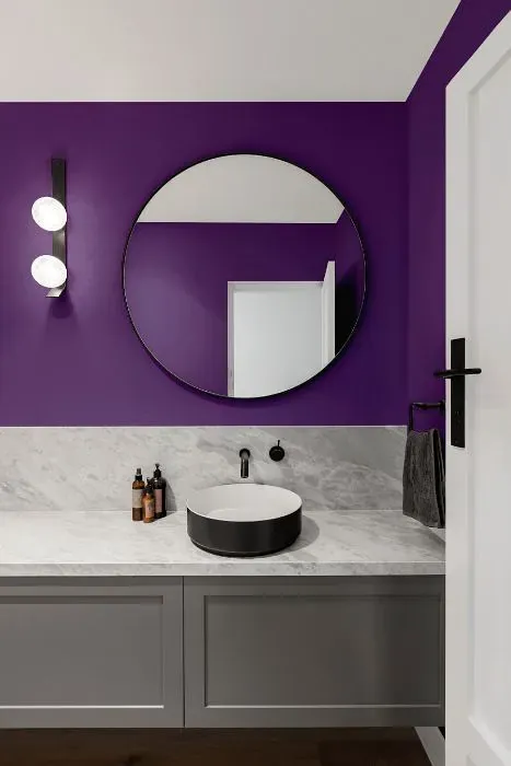 Sherwin Williams Gutsy Grape minimalist bathroom