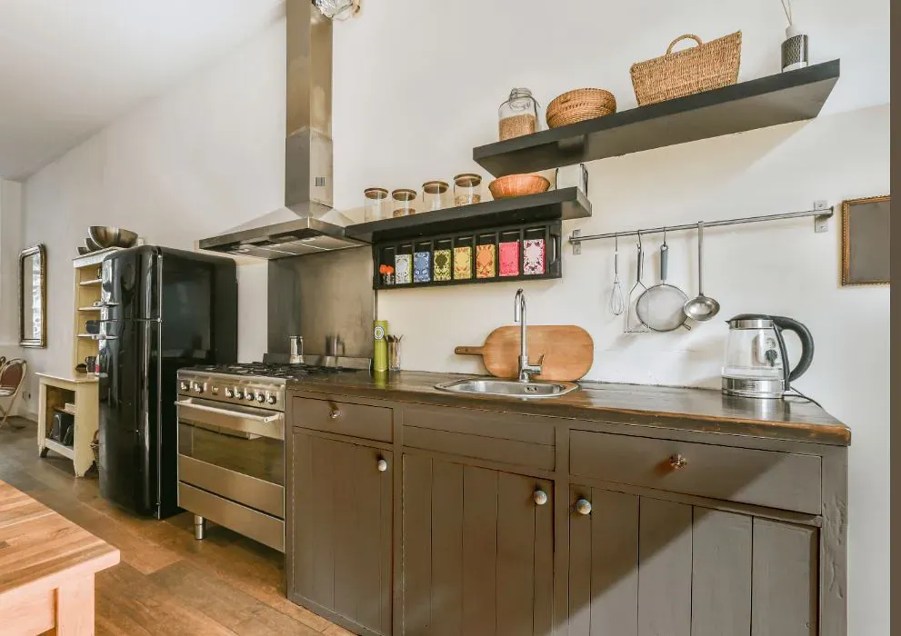 Sherwin Williams Habitat kitchen cabinets