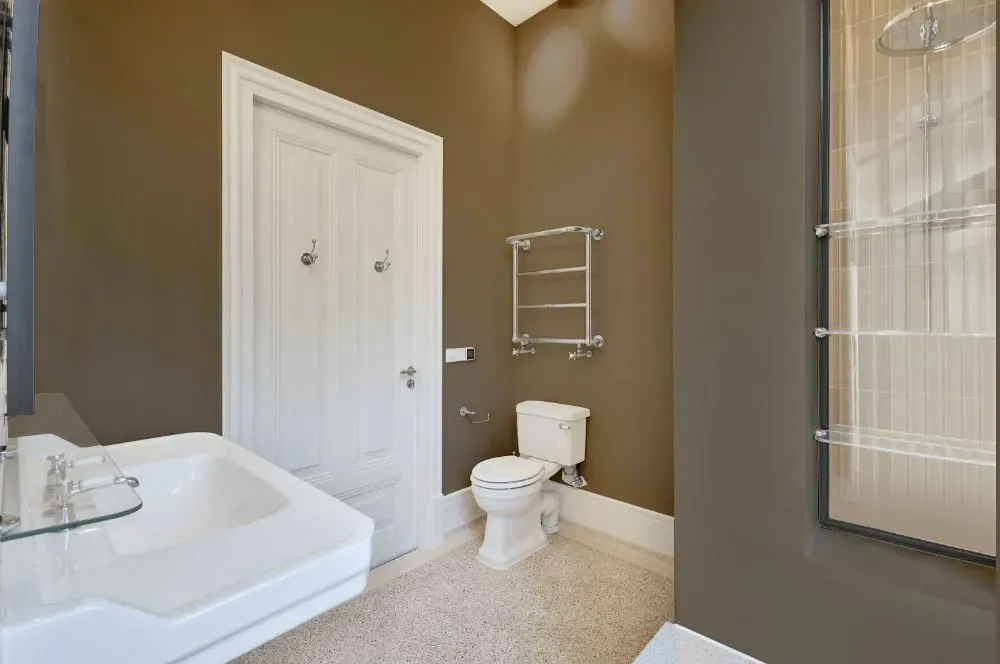 Sherwin Williams Habitat bathroom