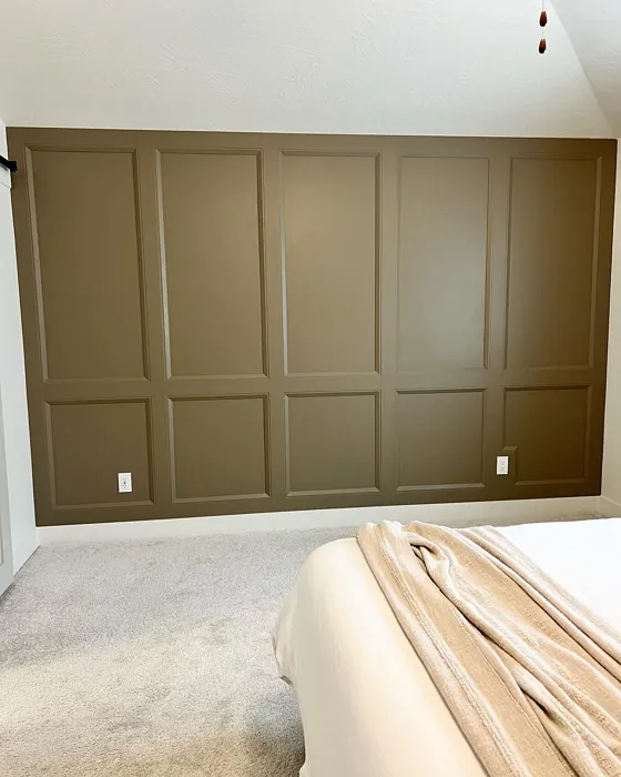 Sherwin Williams Habitat bedroom color