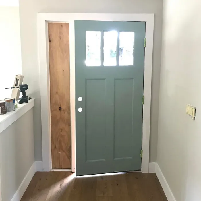 Halcyon Green Front Door