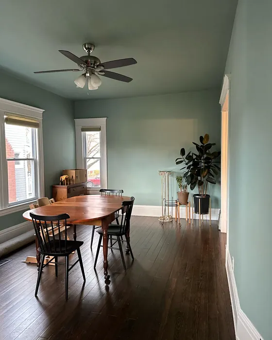 SW 6213 dining room paint