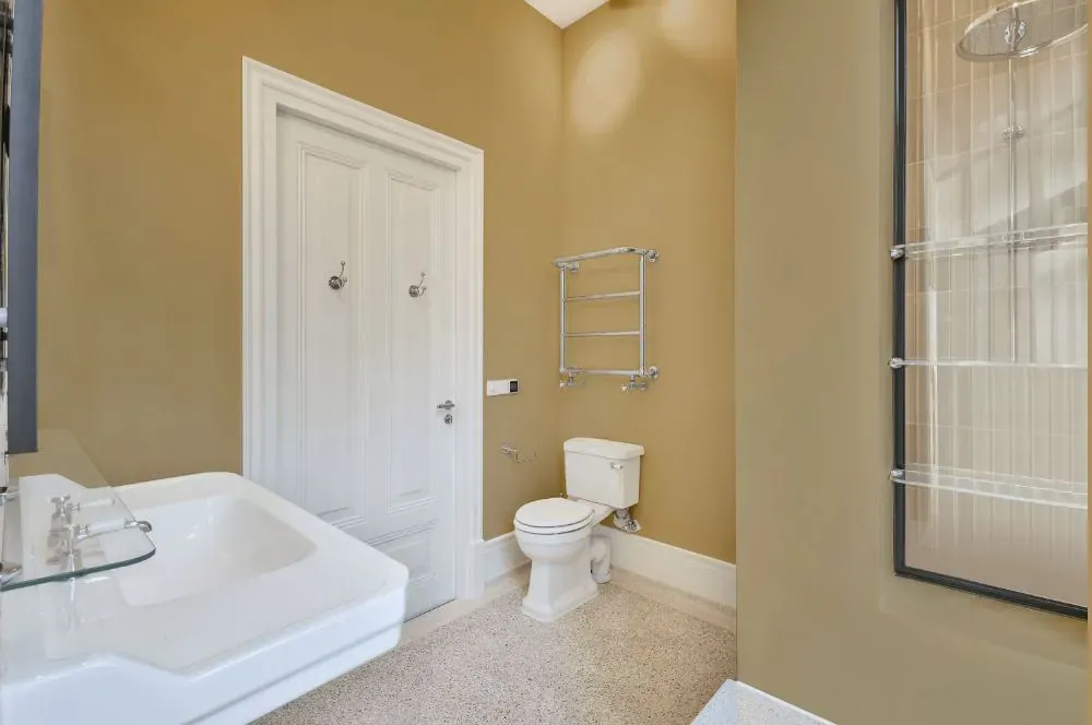 Sherwin Williams Harmonic Tan bathroom