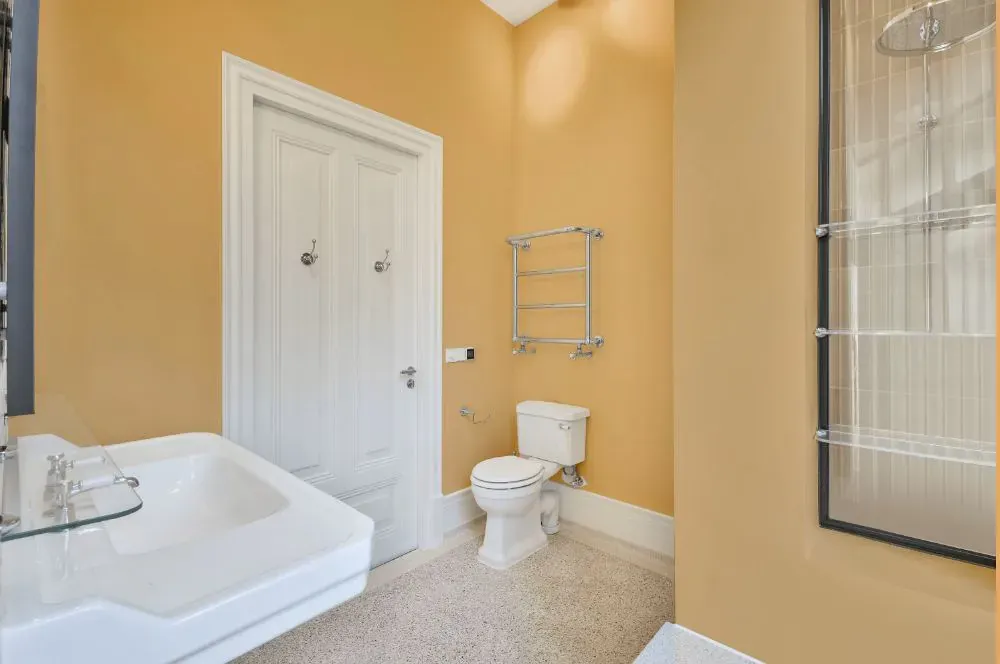 Sherwin Williams Harvester bathroom