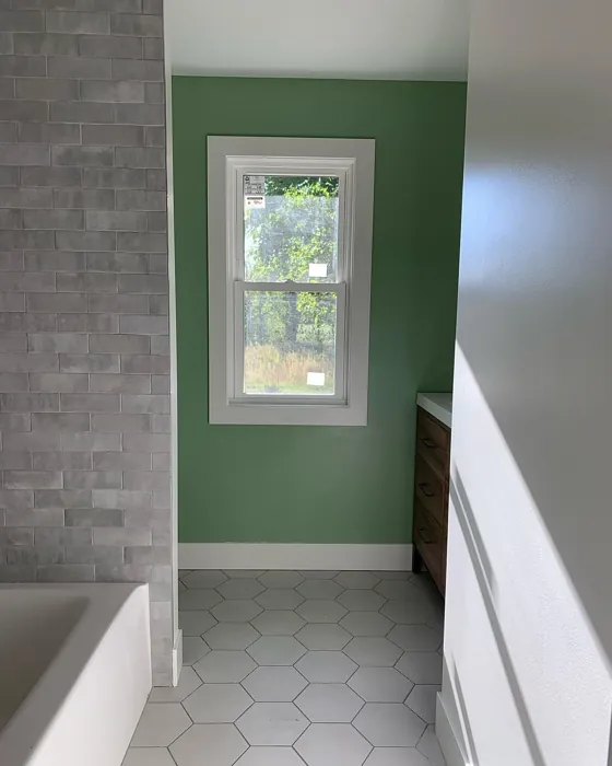 Sherwin Williams Haven bathroom color