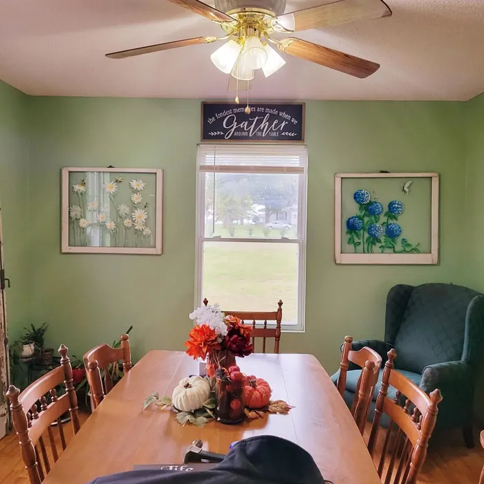 SW Haven dining room color