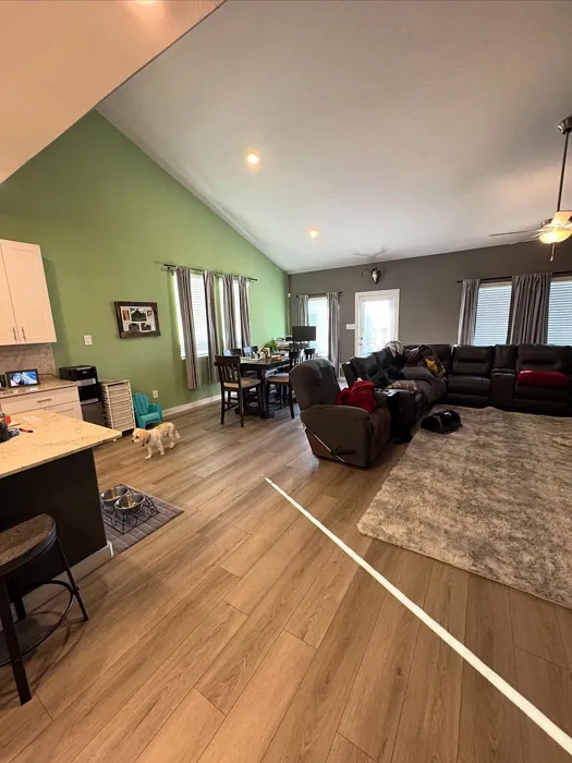 SW Haven living room accent wall